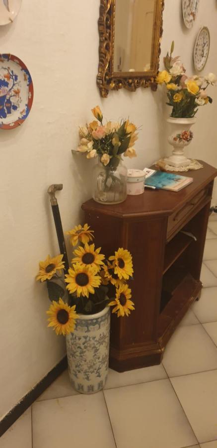Casa Vacanze Cagliari, Eksteriør bilde